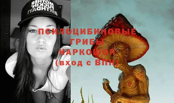 сатива Армянск